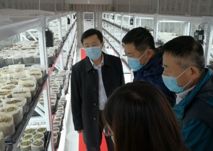 yl23455����(�й�)�ɷ����޹�˾