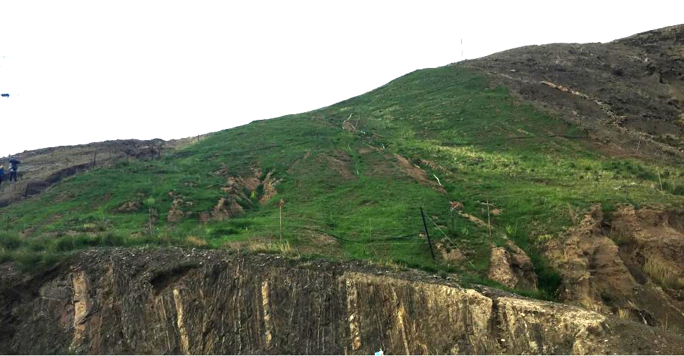 �տ����ɽ�ָ���