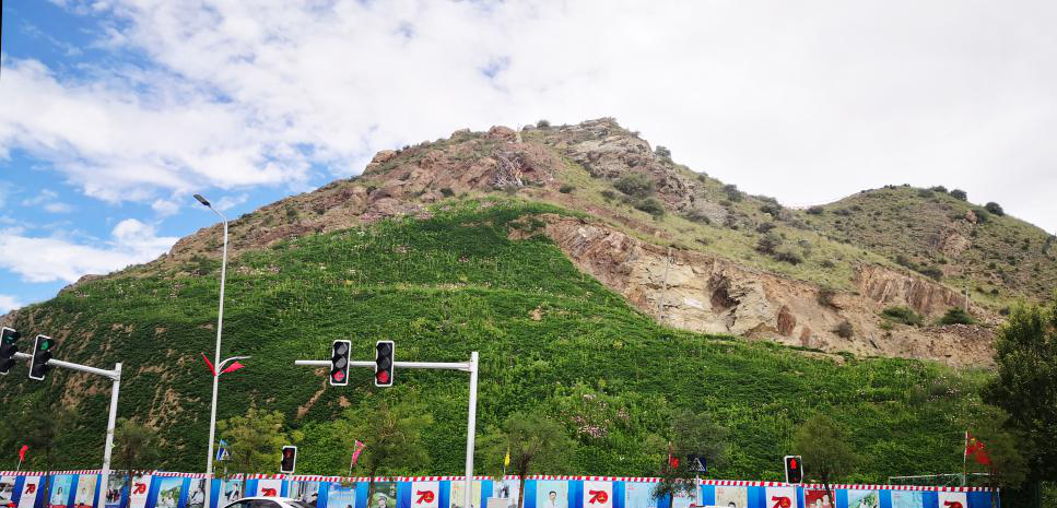 ���������޸���