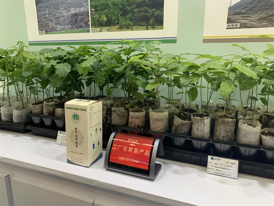 �����������Ʒ