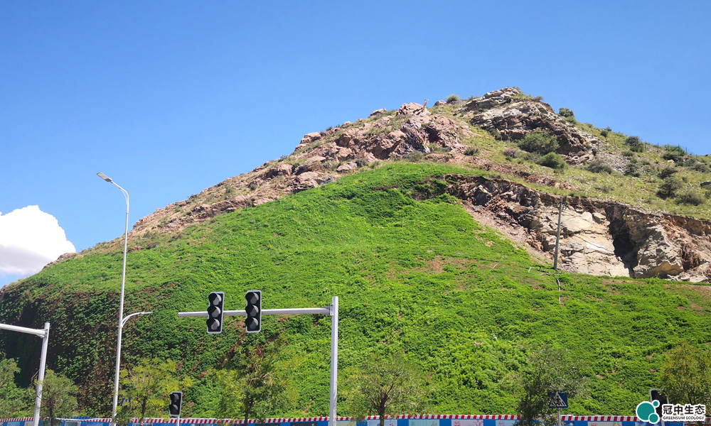 ��ɽ������Ŀ