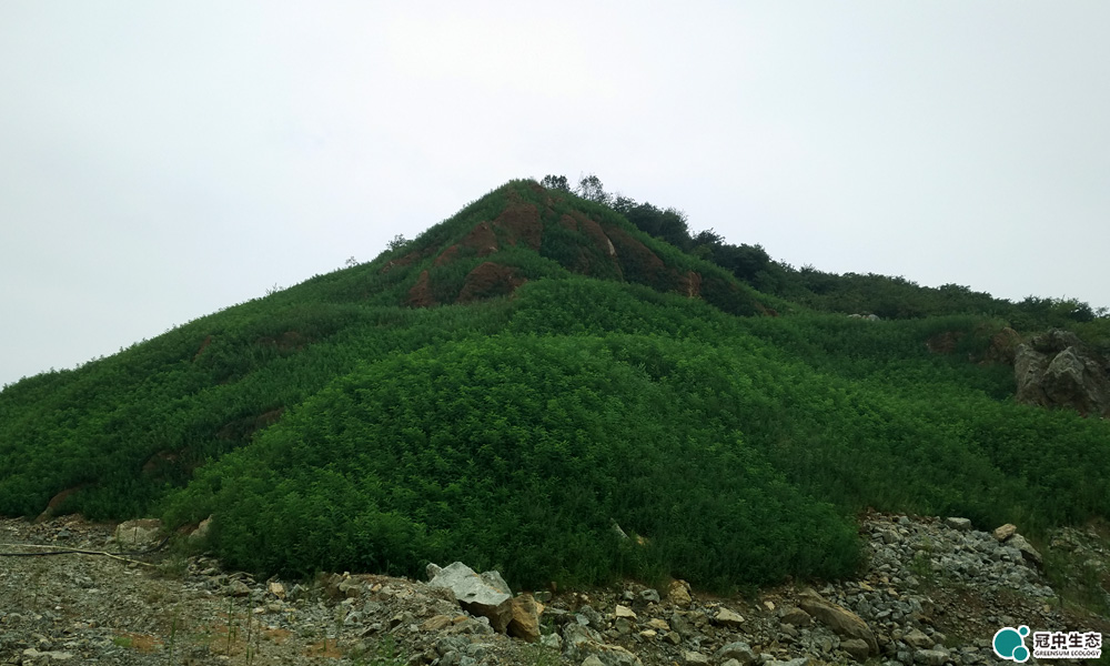 ������ɽ����