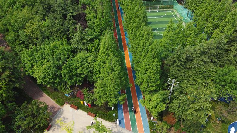 �����������·��԰���ֳ���