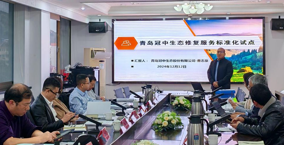 ��׼���Ե�����