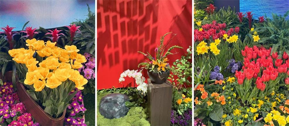 yl23455����(�й�)�ɷ����޹�˾