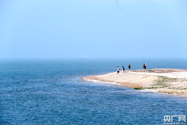 yl23455(й)ɷ޹˾